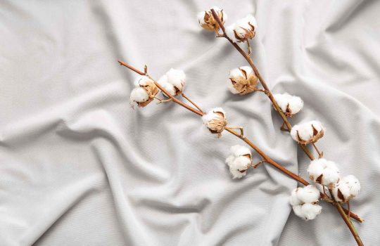 מצעי כותנה מצרית2